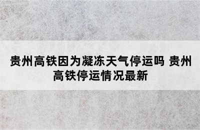 贵州高铁因为凝冻天气停运吗 贵州高铁停运情况最新